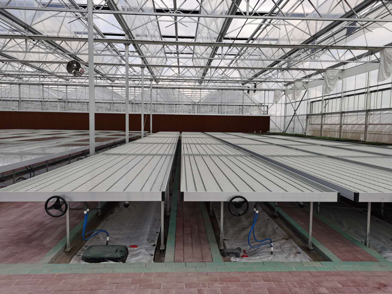 保定新型水培蔬菜大棚技术