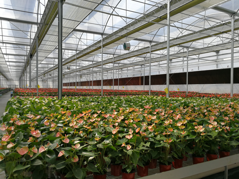 河北新型智能植物工厂技术