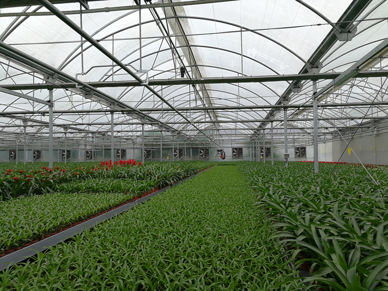 浙江新型水培蔬菜系统