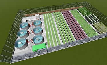 鱼菜共生温室模型